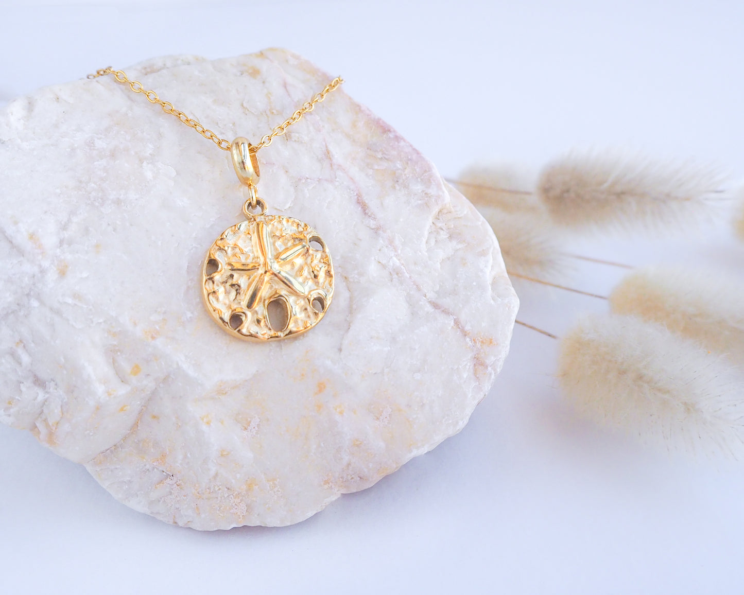 Sand Dollar Necklace Gold Chain on stone display