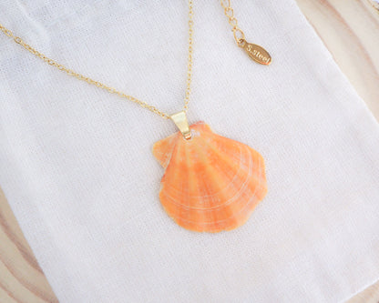 Orange Scallop Shell Necklace, Pumpkin Scallop Shell, Halloween Shell Necklace on display