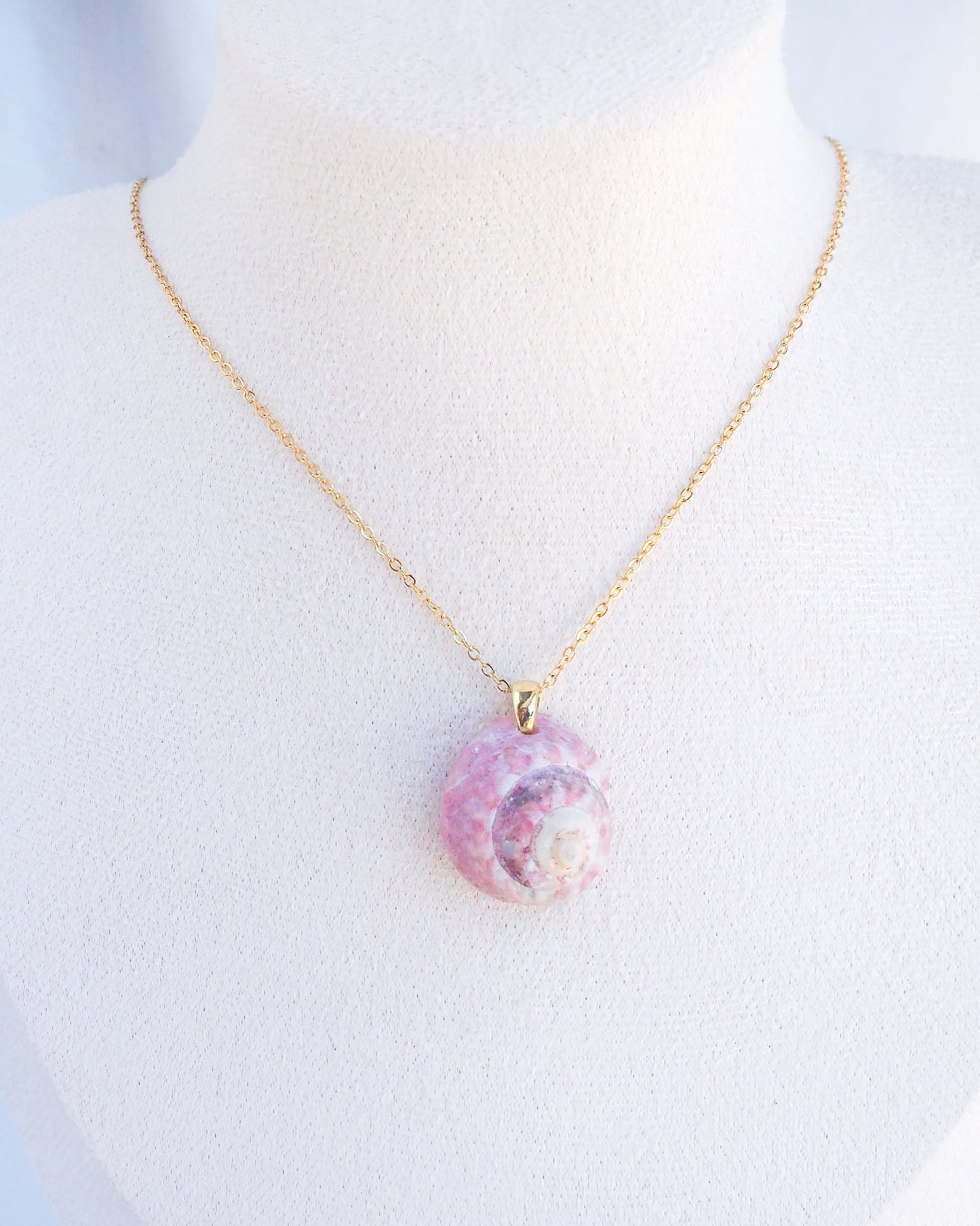 SEASHELL NECKLACE ~ Pink Magus Shell III