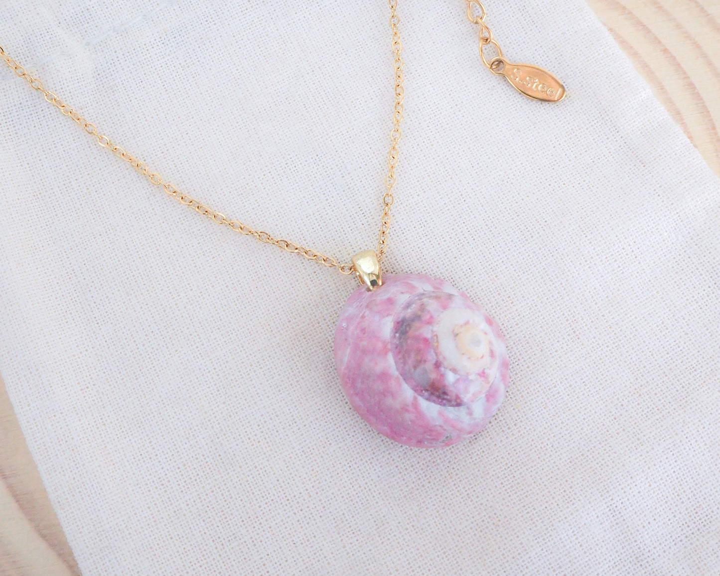 SEASHELL NECKLACE ~ Pink Magus Shell III