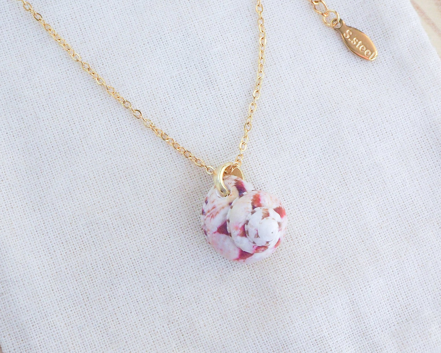 SEASHELL NECKLACE ~ Tiny Pink White Magus Shell