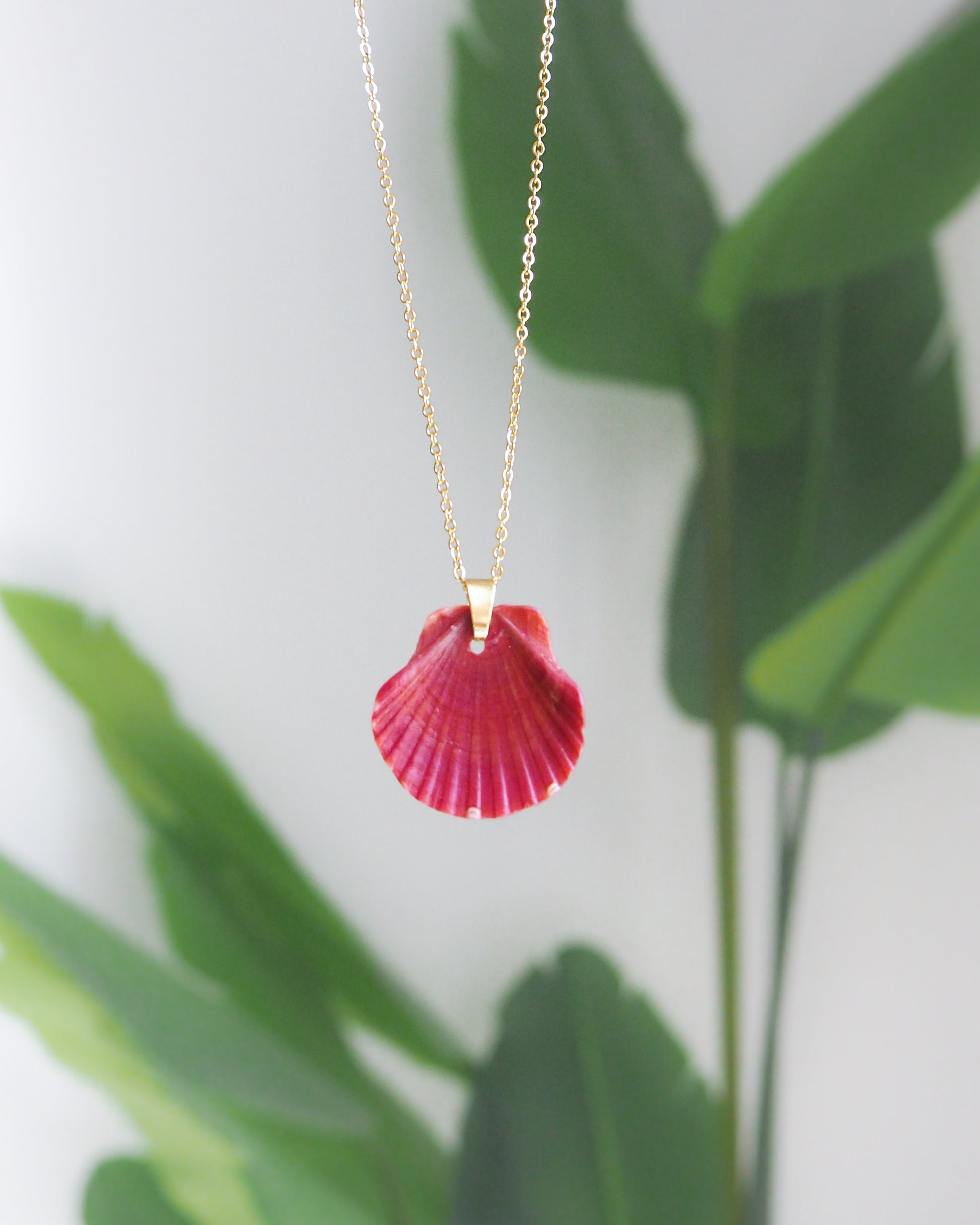 Red Scallop Shell Gold Necklace on front view