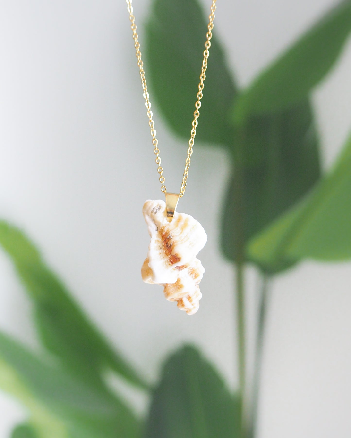 Sting Winkle Shell Gold Necklace from Portugal front