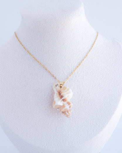 SEASHELL NECKLACE ~ Sting Winkle Shell II