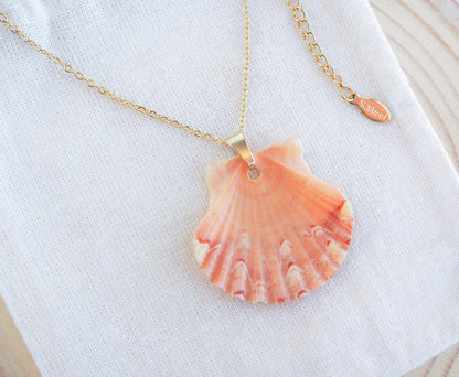 SEASHELL NECKLACE ~ Gold Coral Scallop Shell II