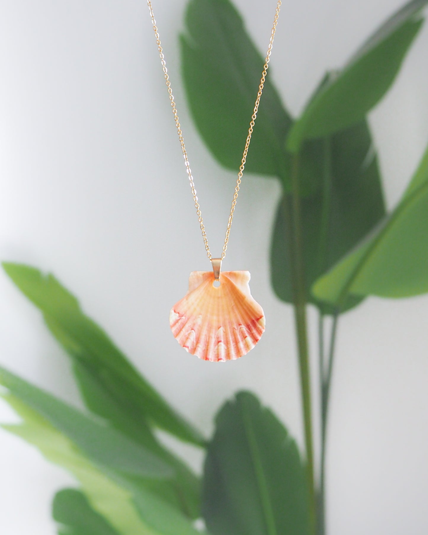 SEASHELL NECKLACE ~ Gold Coral Scallop Shell II