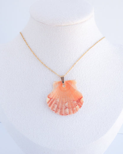 SEASHELL NECKLACE ~ Gold Coral Scallop Shell II