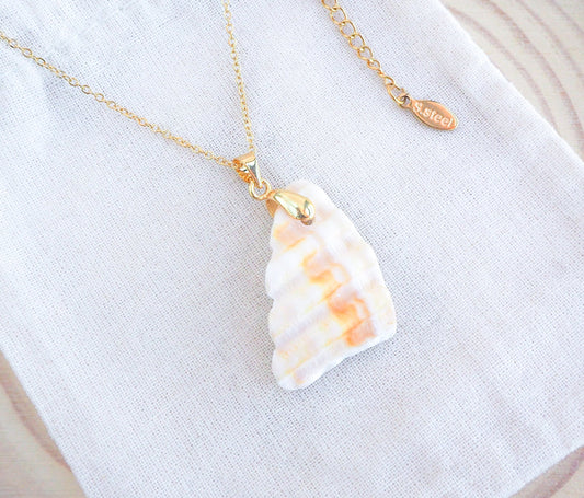 SEASHELL NECKLACE ~ Gold Mediterranean Cockle Shell Piece