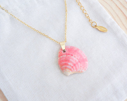 Coral Pink Venus Shell Gold Necklace from Portugal, seabylou ocean inspired jewelry, real shell necklace