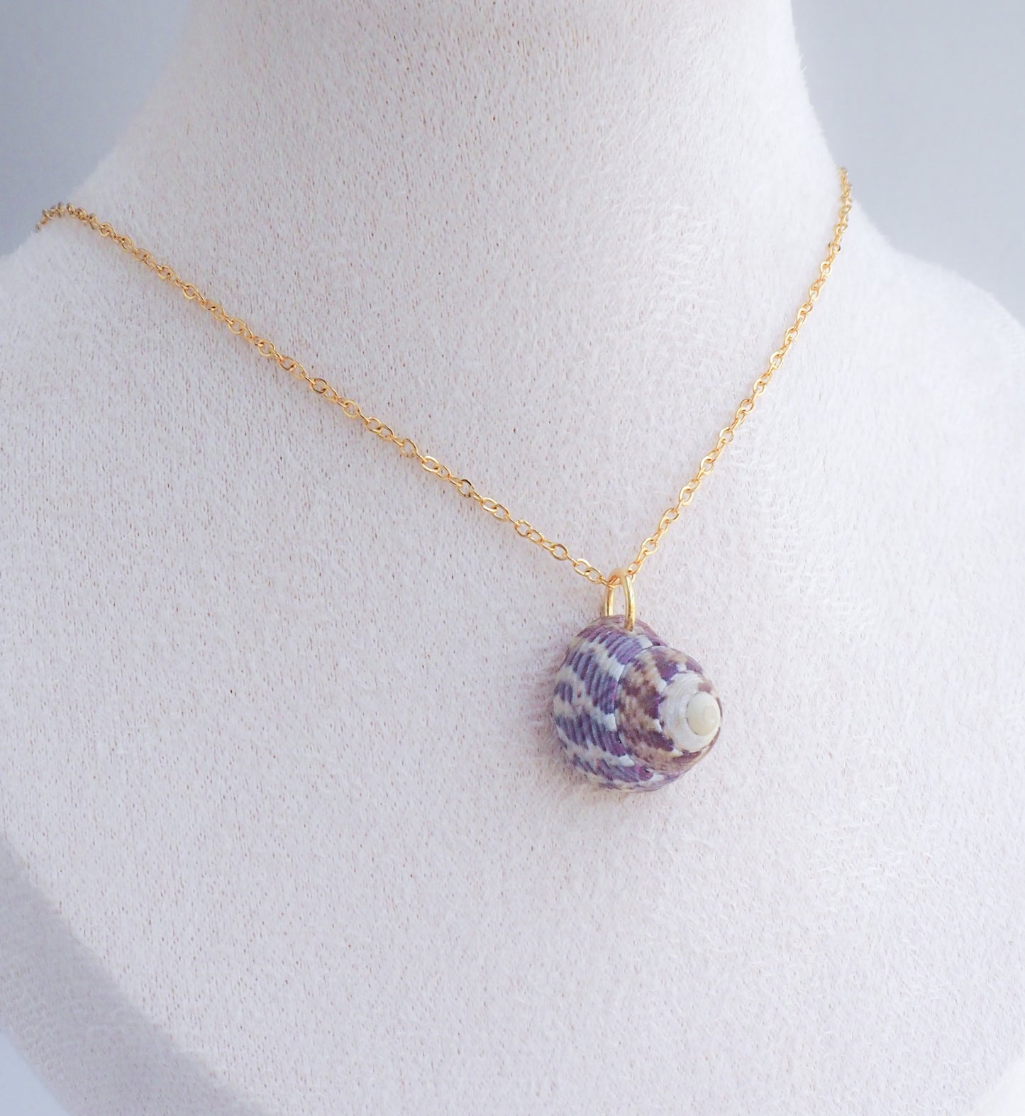 SEASHELL NECKLACE ~ Gold Purple Striped Top Shell