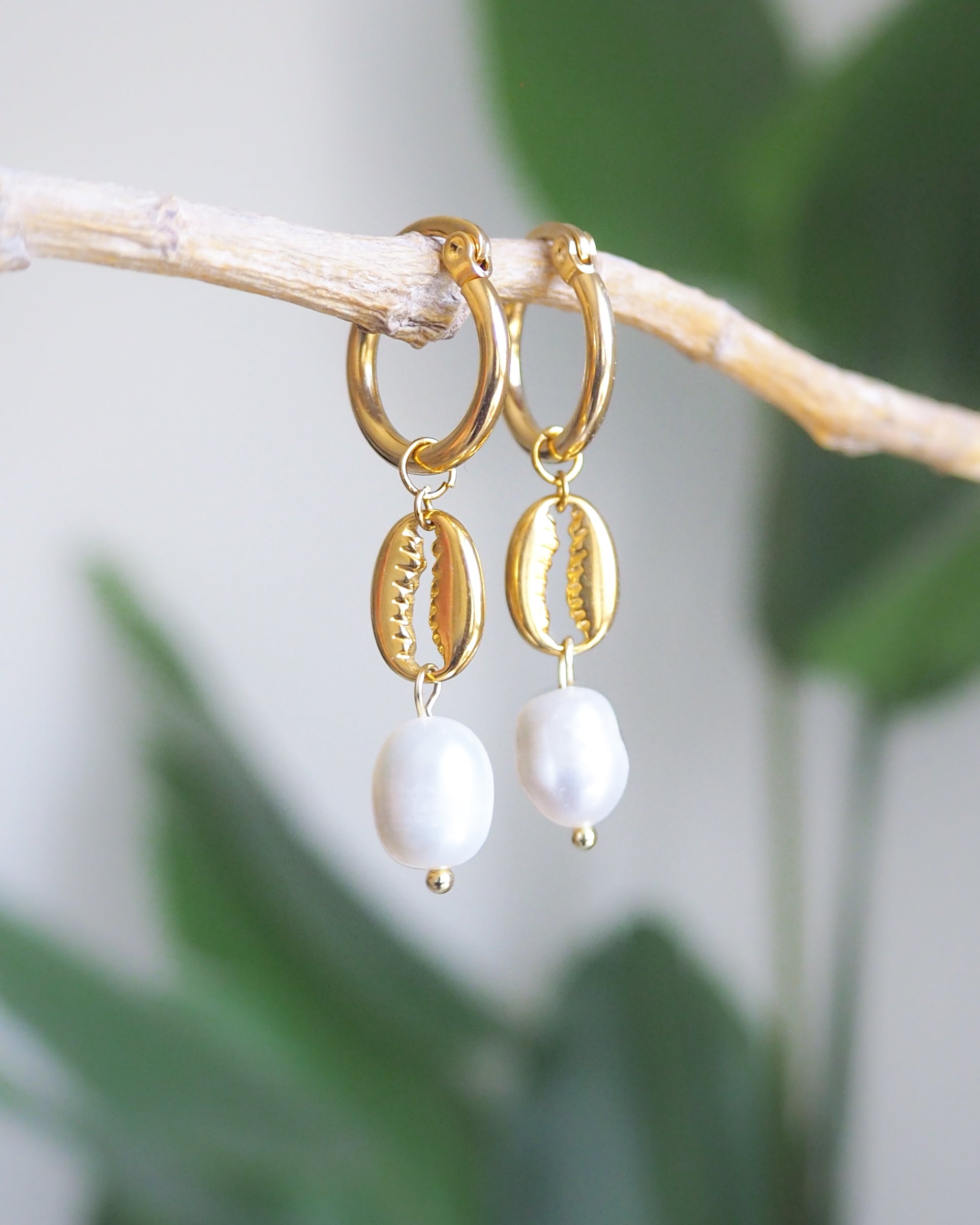 Gold cowrie shell earrings with freshwater pearls