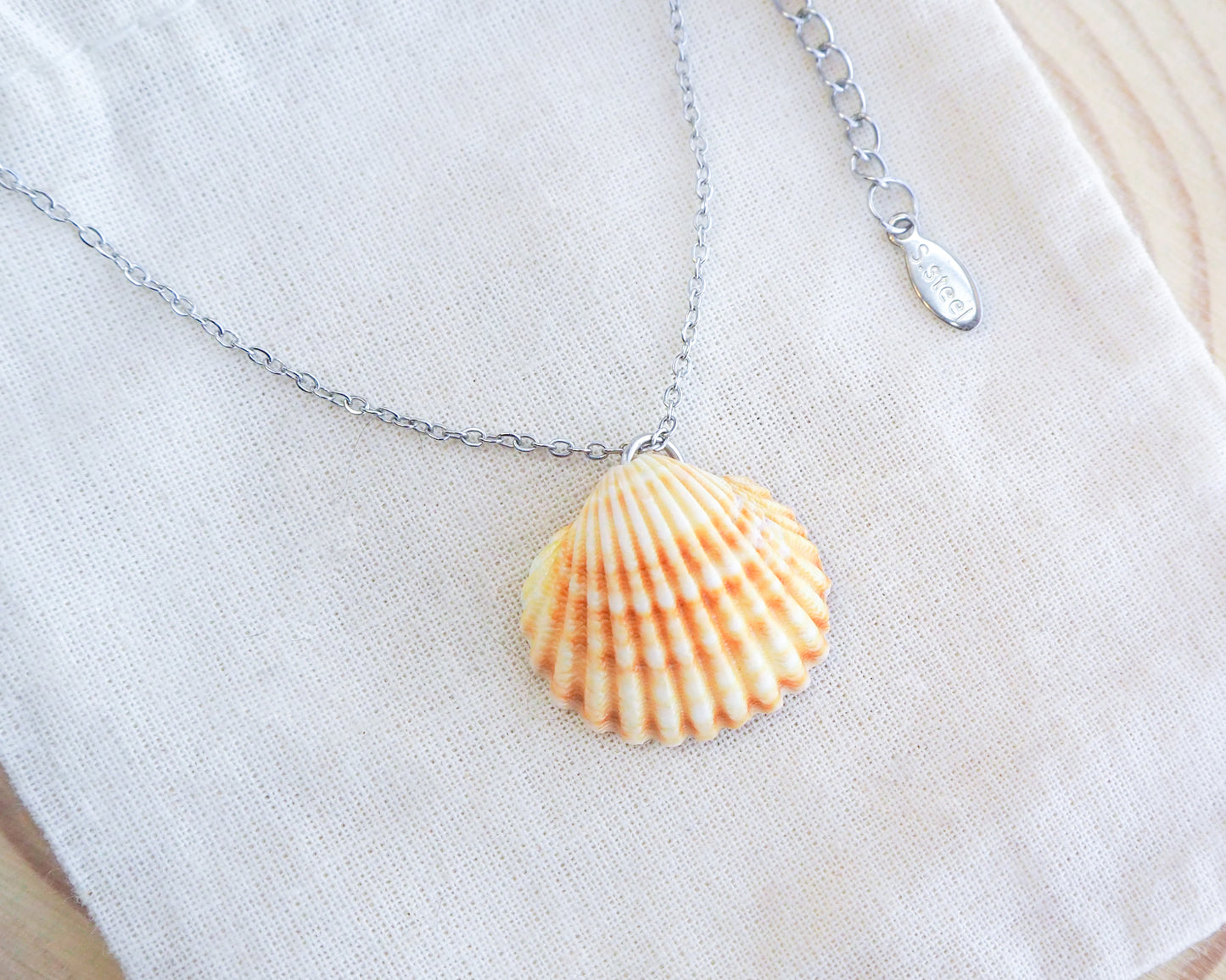 SEASHELL NECKLACE ~ Mediterranean Cockle Shell