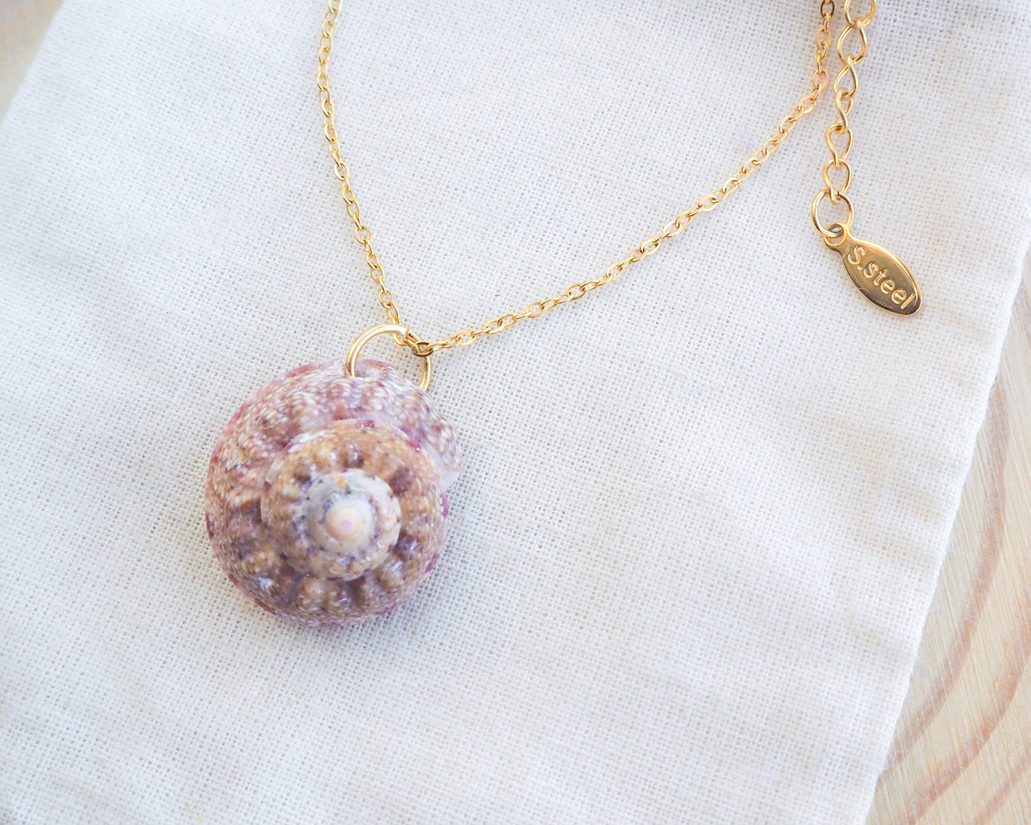 SEASHELL NECKLACE ~ Magus Top Shell V