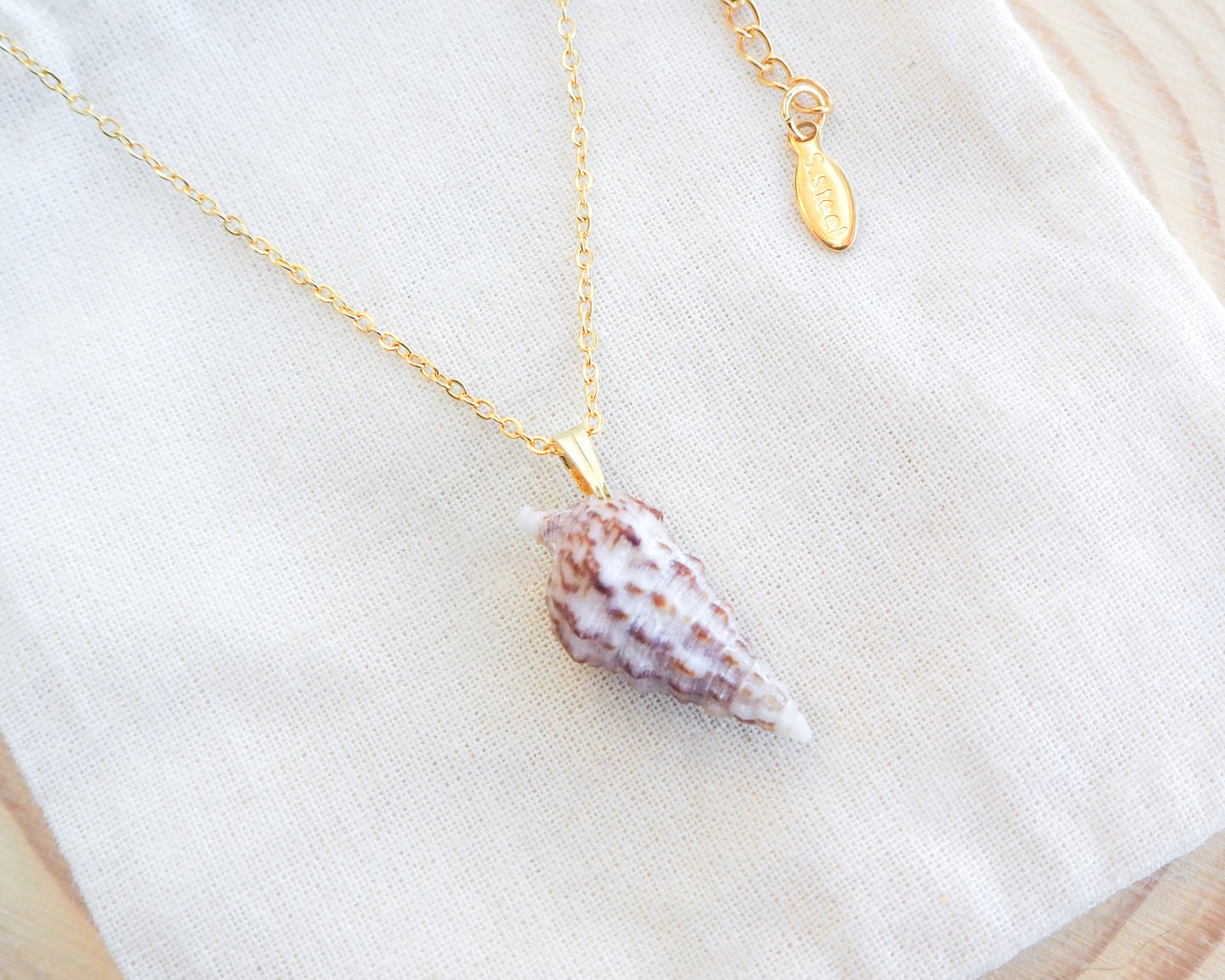 SEASHELL NECKLACE ~ Tiny Horn Shell