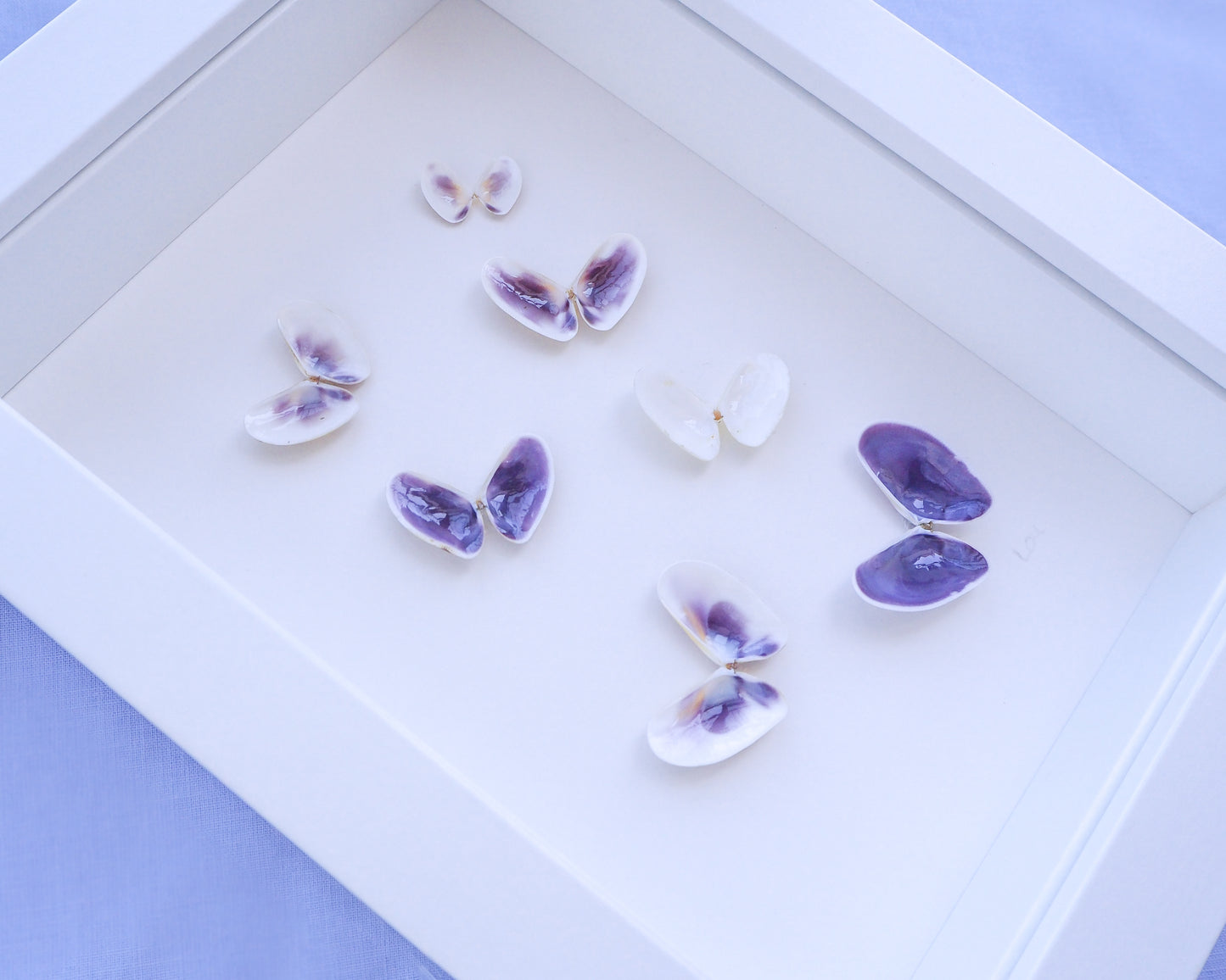 Purple Butterfly Shells Art side view, Nursery room coastal wall art, Seashell Butterfly, Coquina shells 