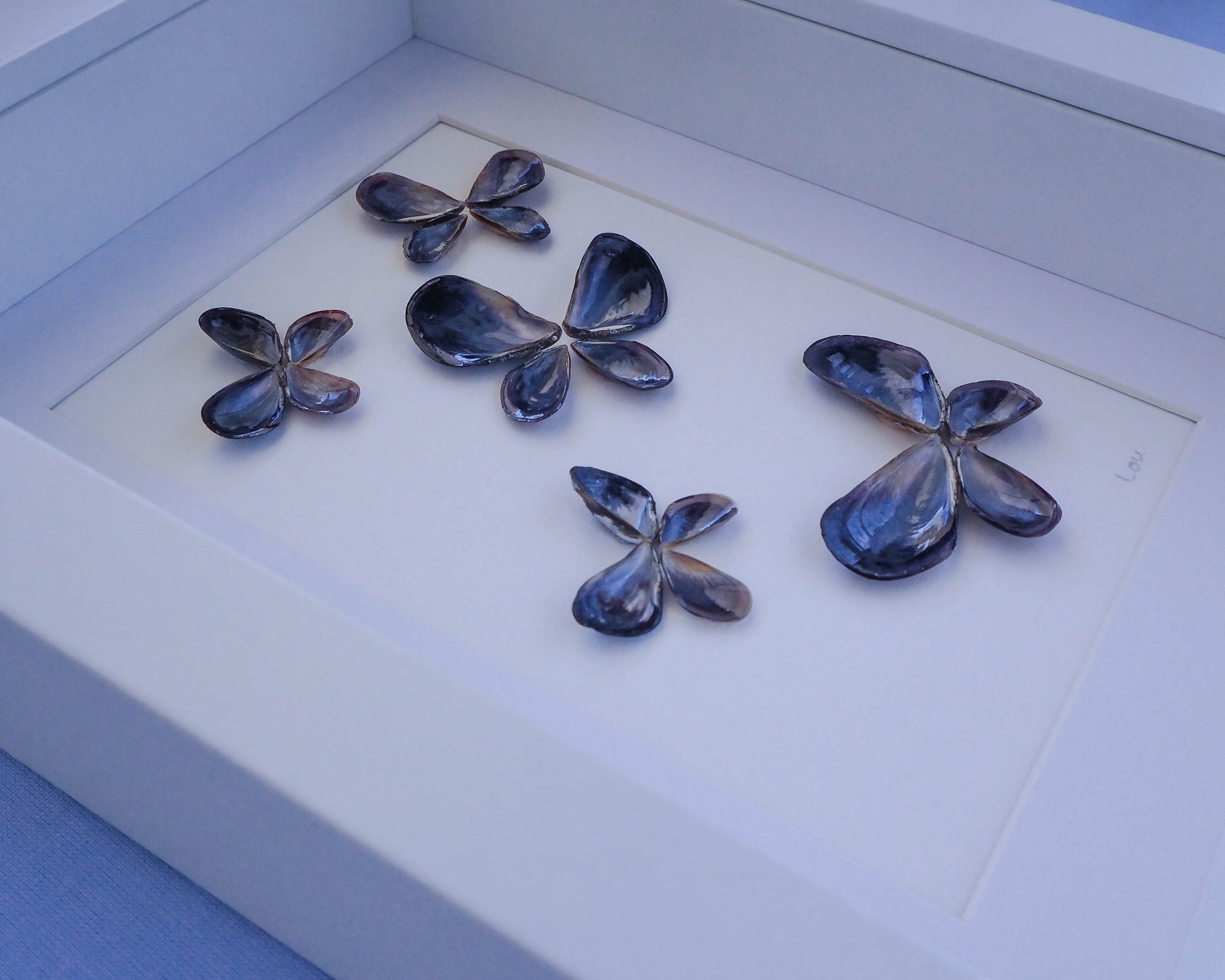 Sea shell butterfly artwork, shell artwork Portugal, mussel shells, coastal decor, seashell wall art, seabylou, sea by lou