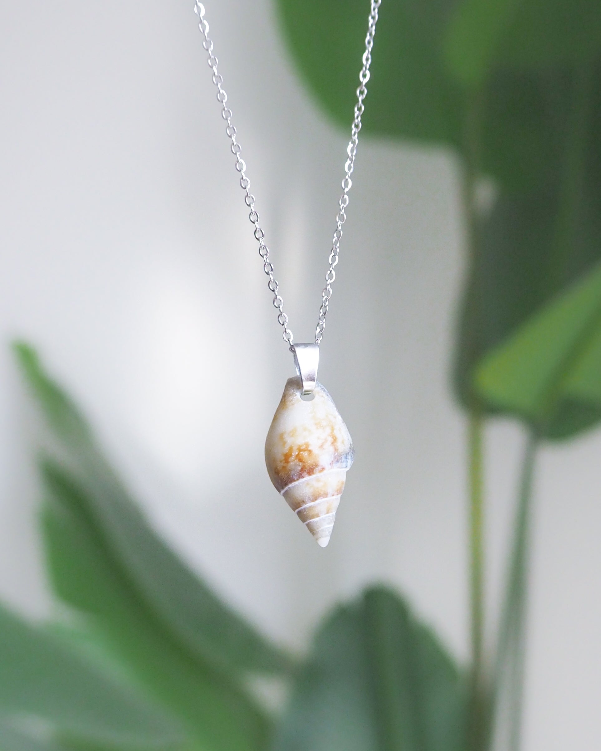 Front view of Silver Rustic Dove Shell Gold Necklace, Tiny shell from Portugal 