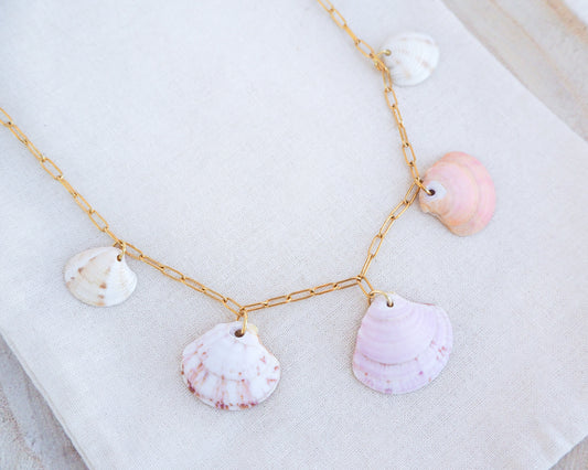 Charm Necklace with Venus Shells on display, Real Shell Jewelry, Sea by Lou, seabylou, Beach Girl Jewelry