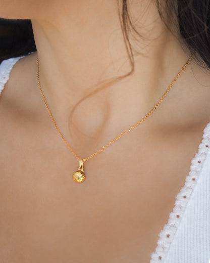 model wearing gold tiny shell necklace